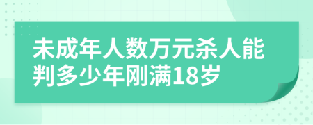 未成年人数万元杀人能判多少年刚满18岁