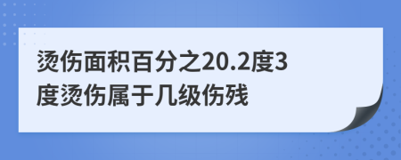 烫伤面积百分之20.2度3度烫伤属于几级伤残