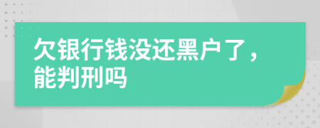 欠银行钱没还黑户了，能判刑吗