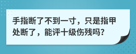 手指断了不到一寸，只是指甲处断了，能评十级伤残吗？