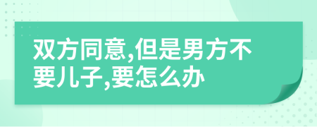 双方同意,但是男方不要儿子,要怎么办