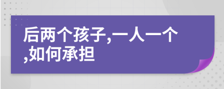 后两个孩子,一人一个,如何承担