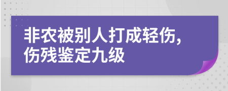 非农被别人打成轻伤,伤残鉴定九级