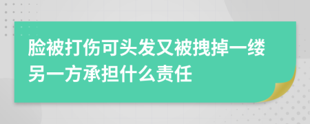 脸被打伤可头发又被拽掉一缕另一方承担什么责任
