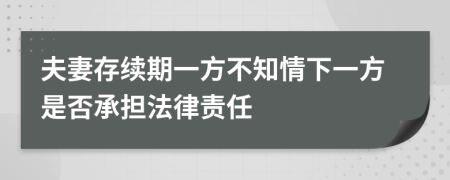 夫妻存续期一方不知情下一方是否承担法律责任