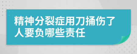 精神分裂症用刀捅伤了人要负哪些责任