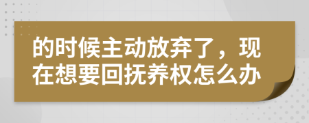 的时候主动放弃了，现在想要回抚养权怎么办