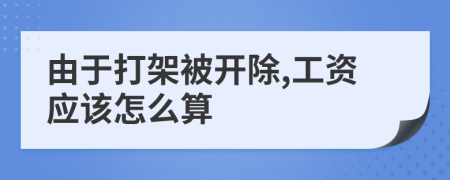 由于打架被开除,工资应该怎么算