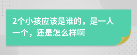 2个小孩应该是谁的，是一人一个，还是怎么样啊