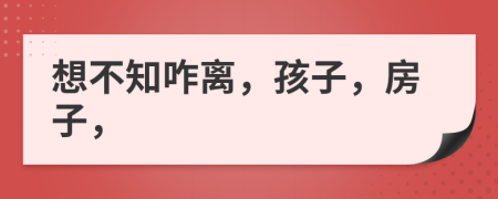 想不知咋离，孩子，房子，