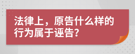 法律上，原告什么样的行为属于诬告？