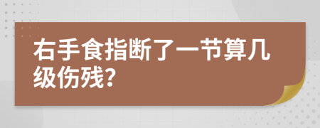 右手食指断了一节算几级伤残？