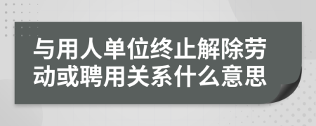 与用人单位终止解除劳动或聘用关系什么意思