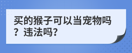 买的猴子可以当宠物吗？违法吗？