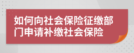 如何向社会保险征缴部门申请补缴社会保险