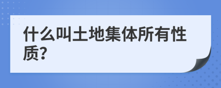 什么叫土地集体所有性质？