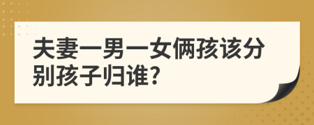 夫妻一男一女俩孩该分别孩子归谁?