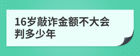 16岁敲诈金额不大会判多少年
