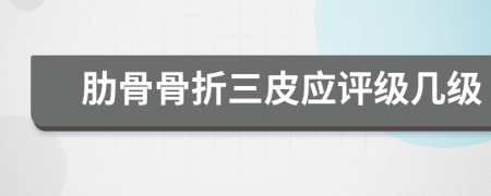 肋骨骨折三皮应评级几级