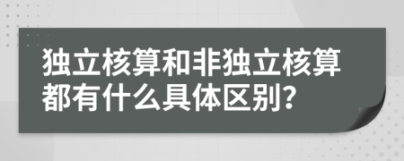 独立核算和非独立核算都有什么具体区别？