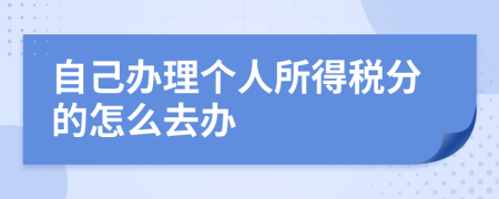 自己办理个人所得税分的怎么去办