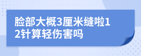 脸部大概3厘米缝啦12针算轻伤害吗