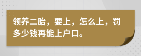 领养二胎，要上，怎么上，罚多少钱再能上户口。