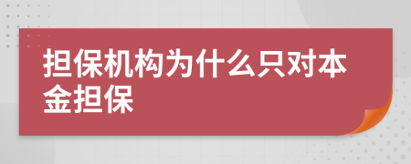 担保机构为什么只对本金担保