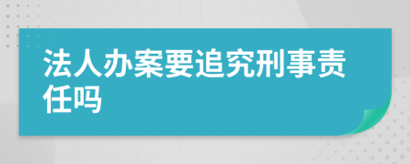 法人办案要追究刑事责任吗