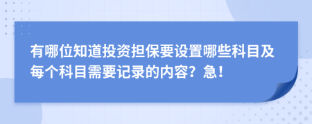 有哪位知道投资担保要设置哪些科目及每个科目需要记录的内容？急！