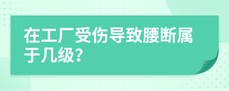 在工厂受伤导致腰断属于几级？