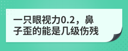 一只眼视力0.2，鼻子歪的能是几级伤残