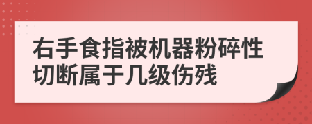 右手食指被机器粉碎性切断属于几级伤残