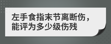 左手食指末节离断伤，能评为多少级伤残