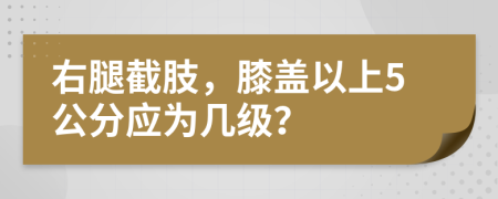 右腿截肢，膝盖以上5公分应为几级？