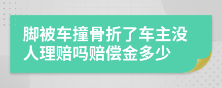 脚被车撞骨折了车主没人理赔吗赔偿金多少