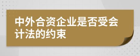 中外合资企业是否受会计法的约束