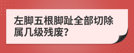 左脚五根脚趾全部切除属几级残废？