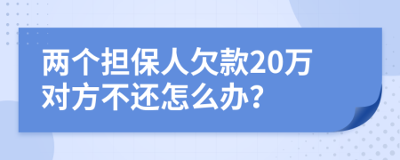 两个担保人欠款20万对方不还怎么办？