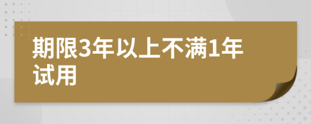 期限3年以上不满1年试用