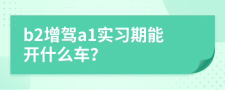 b2增驾a1实习期能开什么车？