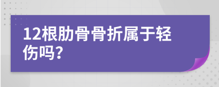 12根肋骨骨折属于轻伤吗？