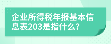 企业所得税年报基本信息表203是指什么？