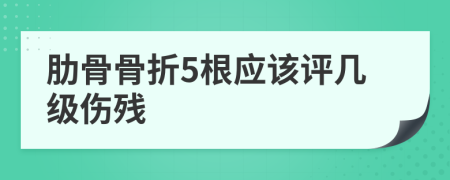 肋骨骨折5根应该评几级伤残