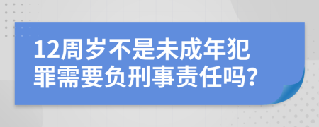 12周岁不是未成年犯罪需要负刑事责任吗？