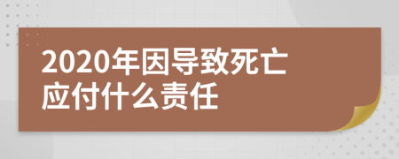 2020年因导致死亡应付什么责任