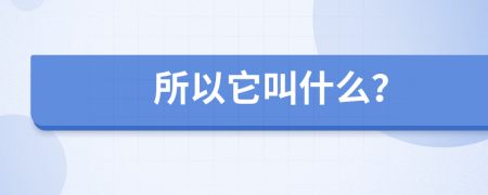 所以它叫什么？
