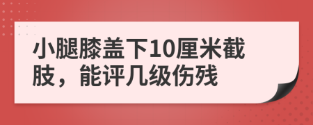 小腿膝盖下10厘米截肢，能评几级伤残