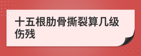 十五根肋骨撕裂算几级伤残