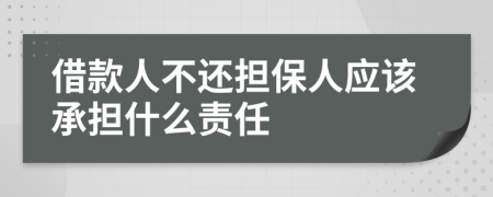 借款人不还担保人应该承担什么责任